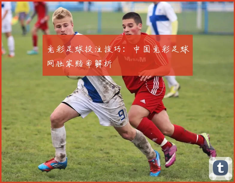 竞彩足球投注技巧：中国竞彩足球网独家赔率解析